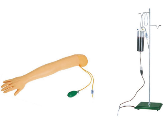 高級(jí)手臂動(dòng)脈穿刺及肌肉注射訓(xùn)練模型